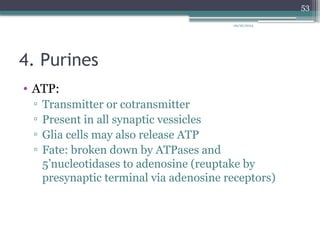 09/26/2024
53
4. Purines
• ATP:
▫ Transmitter or cotransmitter
▫ Present in all synaptic vessicles
▫ Glia cells may also release ATP
▫ Fate: broken down by ATPases and
5’nucleotidases to adenosine (reuptake by
presynaptic terminal via adenosine receptors)
 