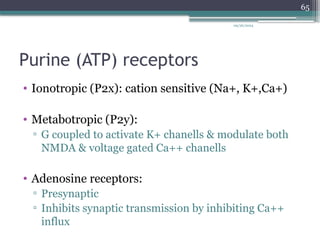 09/26/2024
65
Purine (ATP) receptors
• Ionotropic (P2x): cation sensitive (Na+, K+,Ca+)
• Metabotropic (P2y):
▫ G coupled to activate K+ chanells & modulate both
NMDA & voltage gated Ca++ chanells
• Adenosine receptors:
▫ Presynaptic
▫ Inhibits synaptic transmission by inhibiting Ca++
influx
 