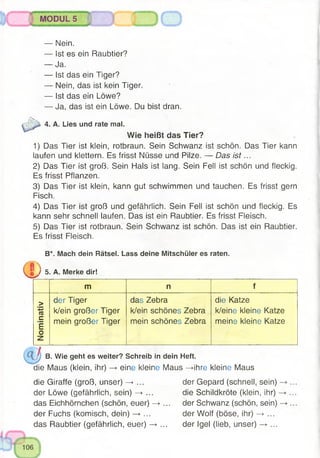 MODULS
— Nein.
— Ist es ein Raubtier?
— Ja.
— Ist das ein Tiger?
— Nein, das ist kein Tiger.
— Ist das ein Löwe?
— Ja, das ist ein Löwe. Du bist dran.
4. A. Lies und rate mal.
Wie heißt das Tier?
1) Das Tier ist klein, rotbraun. Sein Schwanz ist schön. Das Tier kann
laufen und klettern. Es frisst Nüsse und Pilze. — Das is t...
2) Das Tier ist groß. Sein Hals ist lang. Sein Fell ist schön und fleckig.
Es frisst Pflanzen.
3) Das Tier ist klein, kann gut schwimmen und tauchen. Es frisst gern
Fisch.
4) Das Tier ist groß und gefährlich. Sein Fell ist schön und fleckig. Es
kann sehr schnell laufen. Das ist ein Raubtier. Es frisst Fleisch.
5) Das Tier ist rotbraun. Sein Schwanz ist schön. Das ist ein Raubtier.
Es frisst Fleisch.
B*. Mach dein Rätsel. Lass deine Mitschüler es raten.
q / 5. A. Merke dir!
m n f
> der Tiger das Zebra die Katze
'■5
tc k/ein großer Tiger k/ein schönes Zebra k/eine kleine Katze
C
£
mein großer Tiger mein schönes Zebra meine kleine Katze
o
z
B. Wie geht es weiter? Schreib in dein Heft.
die Maus (klein, ihr) —»eine kleine Maus —»-ihre kleine Maus
die Giraffe (groß, unser) —►... der Gepard (schnell, sein)
der Löwe (gefährlich, sein) —> ... die Schildkröte (klein, ihr) -
das Eichhörnchen (schön, euer) —>... der Schwanz (schön, sein)
der Fuchs (komisch, dein) —>... der Wolf (böse, ihr) —►...
das Raubtier (gefährlich, euer) —>... der Igel (lieb, unser) —>...
 