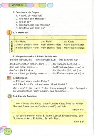 MODUL 5
CD
C. Beantworte die Fragen.
1. Hast du ein Haustier?
2. Wie heißt dein Haustier?
3. Wie ist es?
4. Was kann das Tier machen?
5. Was frisst und trinkt es?
6. A. Merke dir!
m n f
Akkusativ
den Hund
k/einen großen Hund
meinen großen Hund
das Pferd
k/ein starkes Pferd
mein starkes Pferd
die Katze
k/eine kleine Katze
meine kleine Katze
B. Wie geht es weiter? Schreib in dein Heft.
die Kuh (schwer, ihr) —>eine schwere Kuh —>ihre schwere Kuh
das Eichhörnchen (schön, dein) —►... der Papagei (bunt, ihr) —>...
der Hund (böse, sein) —►... die Schildkröte (klein, unser) —>...
die Gans (laut, ihr) —►... der Hamster (lieb, sein) —>• ...
der Kanarienvogel (lustig, dein) —►... das Kaninchen (nett, euer) —►...
7. Kettenspiel.
— Für wen kaufst du das Futter?
— Ich kaufe es für meinen kleinen Hund. Und du?
der Hund / die Katze / der Kanarienvogel / der Papagei /
der Aquarienfisch / der Hamster / das Kaninchen ...
1. A. Lies die Anzeigen.
1) Wer möchte eine Katze haben? Unsere Katze Bella hat Kinder.
Sie sind 6 Wochen, schön (braun-weiß) und lieb.
Helga, 6 a
2) Ich suche meinen Hund! Er ist ein Cocker. Er ist schwarz. Sein
Schwanz ist kurz. Er ist lieb. Er heißt Rem.
Otto, 6 b
 