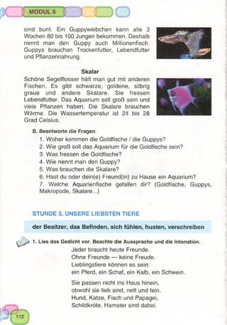 MODUL 5
o
sind bunt. Ein Guppyweibchen kann alle 3
Wochen 80 bis 100 Jungen bekommen. Deshalb
nennt man den Guppy auch Millionenfisch.
Guppys brauchen Trockenfutter, Lebendfutter
und Pflanzennahrung.
Skalar
Schöne Segelflosser hält man gut mit anderen
Fischen. Es gibt schwarze, goldene, silbrig
graue und andere Skalare. Sie fressen
Lebendfutter. Das Aquarium soll groß sein und
viele Pflanzen haben. Die Skalare brauchen
Wärme. Die Wassertemperatur ist 24 bis 28
Grad Celsius.
B. Beantworte die Fragen.
1. Woher kommen die Goldfische / die Guppys?
2. Wie groß soll das Aquarium für die Goldfische sein?
3. Was fressen die Goldfische?
4. Wie nennt man den Guppy?
5. Was brauchen die Skalare?
6. Hast du oder dein(e) Freund(in) zu Hause ein Aquarium?
7. Welche Aquarienfische gefallen dir? (Goldfische, Guppys,
Makropode, Skalare...)
STUNDE 3. UNSERE LIEBSTEN TIERE
der Besitzer, das Befinden, sich fühlen, husten, verschreiben
1. Lies das Gedicht vor. Beachte die Aussprache und die Intonation.
Jeder braucht heute Freunde.
Ohne Freunde — keine Freude.
Lieblingstiere können es sein:
ein Pferd, ein Schaf, ein Kalb, ein Schwein.
Sie passen nicht ins Haus hinein,
obwohl sie lieb sind, nett und fein.
Hund, Katze, Fisch und Papagei,
Schildkröte, Hamster sind dabei.
 