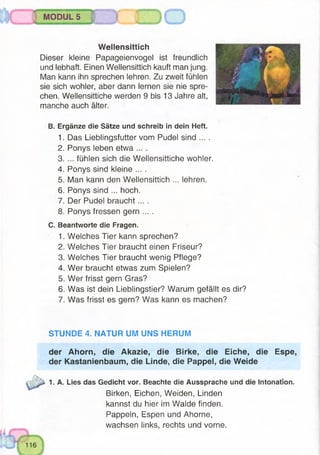 MODUL 5
Wellensittich
Dieser kleine Papageienvogel ist freundlich
und lebhaft. Einen Wellensittich kauft man jung.
Man kann ihn sprechen lehren. Zu zweit fühlen
sie sich wohler, aber dann lernen sie nie spre­
chen. Wellensittiche werden 9 bis 13 Jahre alt,
manche auch älter.
B. Ergänze die Sätze und schreib in dein Heft.
1. Das Lieblingsfutter vom Pudel sind ... .
2. Ponys leben etwa ... .
3. ... fühlen sich die Wellensittiche wohler.
4. Ponys sind kleine ... .
5. Man kann den Wellensittich ... lehren.
6. Ponys sind ... hoch.
7. Der Pudel braucht ... .
8. Ponys fressen gern ....
C. Beantworte die Fragen.
1. Welches Tier kann sprechen?
2. Welches Tier braucht einen Friseur?
3. Welches Tier braucht wenig Pflege?
4. Wer braucht etwas zum Spielen?
5. Wer frisst gern Gras?
6. Was ist dein Lieblingstier? Warum gefällt es dir?
7. Was frisst es gern? Was kann es machen?
STUNDE 4. NATUR UM UNS HERUM
der Ahorn, die Akazie, die Birke, die Eiche, die Espe,
der Kastanienbaum, die Linde, die Pappel, die Weide
1. A. Lies das Gedicht vor. Beachte die Aussprache und die Intonation.
Birken, Eichen, Weiden, Linden
kannst du hier im Walde finden.
Pappeln, Espen und Ahorne,
wachsen links, rechts und vorne.
 