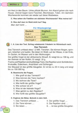 Deutsch Englisch
Eule f owl
Kuckuck m cuckoo
Nachtigall f nightingale
MODUL 5
ein Herz in den Baum. Ulrike pflückt Blumen. Am Abend gehen alle nach
Hause. Überall liegen leere Flaschen, Blechdosen, Tüten. Am nächsten
Wochenende kommen sie wieder auf diese Waldwiese.
C. Was sehen die Familien am nächsten Wochenende? Was meinst du?
D. Was darf man im Wald nicht tun? Sag.
Man darf nicht...
Für Wissbegierige
]•) 1. A. Lies den Text. Schlag unbekannte Vokabeln im Wörterbuch nach.
Das Tierreich
Das Tierreich umfasst etwa 1,2 Mill. Tierarten. Sie können fliegen, sprin­
gen, kriechen und laufen. Sie leben im Wald, auf der Wiese, in der Erde,
im Garten, im Wasser und in den Wohnungen.
Der größte Vogel ist der afrikanische Strauß. Er wiegt bis zu 136 kg, und
der kleinste ist der Kolibri. Er wiegt 1,6 g.
Fische und Reptilien sind kaltblütige Tiere. Die Reptilien sind: Schildkröten,
Krokodile, Eidechsen, Amphibien und Schlangen.
Der Blauwal ist das größte Säugetier. Er ist bis zu 33 m lang und wiegt
bis zu 150 000 kg.
B. Beantworte die Fragen.
1. Wie groß ist das Tierreich?
2. Was können die Tiere machen?
3. Wo wohnen die Tiere?
4. Wie heißt der größte Vogel?
5. Wie schwer ist er?
6. Was ist der kleinste Vogel?
7. Was gehört zu den Reptilien?
8. Wie heißt das größte Säugetier?
C. Ergänze die Sätze. Schreib in dein Heft.
1. Das Tierreich umfasst ... 4. Der größte Vogel ...
2. Die Tiere können ... 5. Die Reptilien sind: ...
3. Sie leben ... 6. ... ist das größte Säugetier.
 