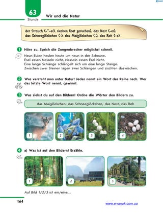 164
Stunde
63 Wir und die Natur
der Strauch (-’’-er), riechen (hat gerochen), das Nest (-er),
das SchneeglЊckchen (-), das MaiglЊckchen (-), das Reh (-e)
 Höre zu. Sprich die Zungenbrecher möglichst schnell.
Neun Eulen heulen heute um neun in der Scheune.
Esel essen Nesseln nicht, Nesseln essen Esel nicht.
Eine lange Schlange schlängelt sich um eine lange Stange.
Zwischen zwei Steinen lagen zwei Schlangen und zischten dazwischen.
 Was versteht man unter Natur? Jeder nennt ein Wort der Reihe nach. Wer
das letzte Wort nennt, gewinnt.
 Was siehst du auf den Bildern? Ordne die Wörter den Bildern zu.
das Maiglöckchen, das Schneeglöckchen, das Nest, das Reh
1 2 3 4
 a) Was ist auf den Bildern? Erzähle.
1 2 3
Auf Bild 1/2/3 ist ein/eine...
www.e-ranok.com.ua
 