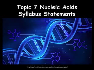 Topic 7 Nucleic AcidsTopic 7 Nucleic Acids
Syllabus StatementsSyllabus Statements
http://www.funkidslive.com/bene-and-mals-bioethics/understanding-dna/
 