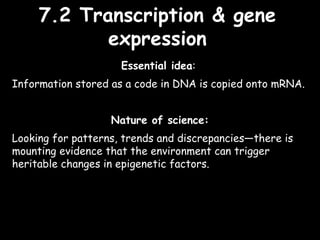 7 nucleic acids syllabus statements | PPT