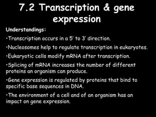 7 nucleic acids syllabus statements | PPT