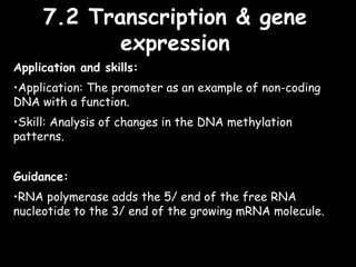 7 nucleic acids syllabus statements | PPT