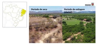 Período de seca Período de estiagem
(cheias)
 