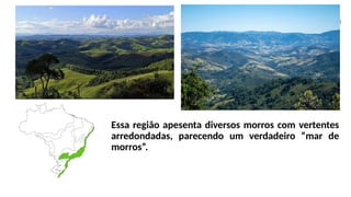 Essa região apesenta diversos morros com vertentes
arredondadas, parecendo um verdadeiro “mar de
morros”.
 