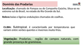 Domínio das Pradarias
Localização: chamado de Pampas ou de Campanha Gaúcha, Situa-se no
extremo sul do Brasil, no estado do Rio Grande do Sul.
Relevo baixo e ligeiras ondulações chamadas de coxilhas.
Vegetação: Pradarias, região de campos naturais, com
grande presença de gramíneas.
CLIMA: Subtropical, é caracterizado por temperaturas que
variam entre verões quentes e invernos muito frios.
 