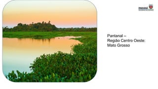 Pantanal –
Região Centro Oeste:
Mato Grosso
 