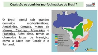 .
O Brasil possui seis grandes
domínios morfoclimáticos:
Amazônico, Cerrado, Mares de
Morros, Caatinga, Araucárias e
Pradarias. Além disso, temos as
chamadas faixas de transição,
como a Mata dos Cocais e o
Pantanal.
Quais são os domínios morfoclimáticos do Brasil?
 