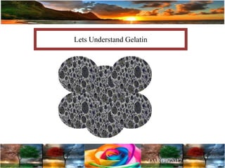 Lets Understand Gelatin
 