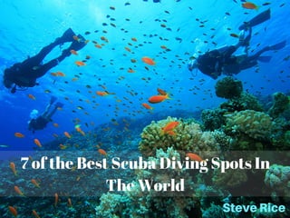 7 of the Best Scuba Diving Spots In
The World
SteveRice
 