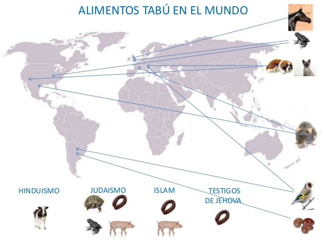7 Alimentación y religión