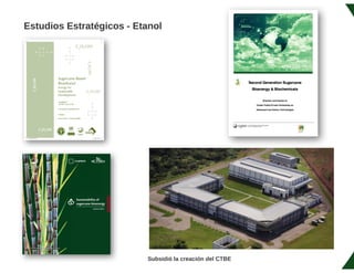 Bioeconomía en Brasil
