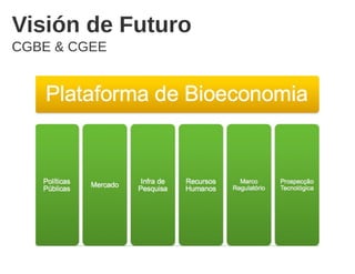 Bioeconomía en Brasil