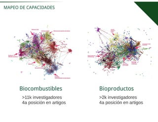 Bioeconomía en Brasil