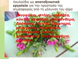 Λουλούδια ως αποτοξινωτικά
εργαλεία για την προστασία της
ατμόσφαιρας από τη μόλυνση του αέρα
(συγκόνιο, φτέρη, καλαθέα,
κάκτοι, σεφλέρα, χρυσάνθεμα,
δράκαινα, κισσός, ζέρμπερα,
μαργαρίτα, σανσιβιέρα,
σπαθίφυλλο, φίκος,
χλωρόφυτο, ντιεφενμπάχια,
ορχιδέα)
 