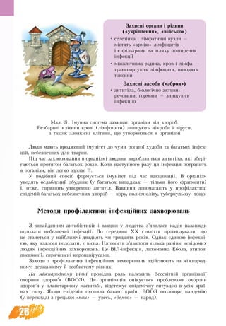 26
Люди мають вроджений імунітет до чуми рогатої худоби та багатьох інфек-
цій, небезпечних для тварин.
Під час захворювання в організмі люди­ни виробляються антитіла, які збері-
гаються протягом багатьох років. Коли наступного разу ця інфекція потрапить
в організм, він легко здолає її.
У подібний спосіб формується імунітет під час вакцинації. В організм
уводять ослаблений збудник (у багатьох випадках — тільки його фрагменти)
і, отже, сприяють утворенню антитіл. Вакцини допомагають у профілактиці
епідемій багатьох небезпечних хвороб — кору, поліомієліту, туберкульозу тощо.
Методи профілактики інфекційних захворювань
З винайденням антибіотиків і вакцин у людства з’явилася надія назавжди
подолати небезпечні інфекції. До середини ХХ століття прогнозували, що
це станеться у найближчі двадцять чи тридцять років. Однак єдиною інфекці-
єю, яку вдалося подолати, є віспа. Натомість з’явилося кілька раніше невідомих
людям інфекційних захворювань. Це ВІЛ-інфекція, лихоманка Ебола, атипові
пневмонії, спричинені коронавірусами.
Заходи з профілактики інфекційних захворювань здійснюють на міжнарод-
ному, державному й особистому рівнях.
На міжнародному рівні провідна роль належить Всесвітній організації
охорони здоров’я (ВООЗ). Ця організація опікується проблемами охорони
здоров’я у планетарному масштабі, відстежує епідемічну ситуацію в усіх краї-
нах світу. Якщо епідемія охопила багато країн, ВООЗ оголошує пандемію
(у перекладі з грецької «пан» — увесь, «демос» — народ).
Захисні органи і рідини 
(«укріплення», «військо»)
•	 селезінка і лімфатичні вузли —
містять «армію» лімфоцитів
і є фільтрами на шляху поширення
інфекції
•	 міжклітинна рідина, кров і лімфа —
транспортують лімфо­цити, виводять
токси­ни
Захисні засоби («зброя»)
•	 антитіла, біологічно активні
речо­вини, гормони — знищують
інфекцію
Ìàë. 8 . Імунна система захищає організм від хвороб.
Безбарвні клітини крові (лімфоцити) знищують мікроби і віруси,
а також злоякісні клітини, що утворюються в організмі
 