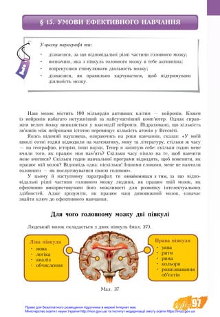 97
§ 15. УМОВИ ЕФЕКТИВНОГО НАВЧАННЯ
Наш мозок містить 100 мільярдів активних клітин — нейронів. Кожен
із нейронів набагато потужніший за найсучасніший комп’ютер. Однак справ-
жня велич мозку виявляється у взаємодії нейронів. Підраховано, що кількість
зв’язків між нейронами істотно перевищує кількість атомів у Всесвіті.
Якось відомий науковець, озираючись на роки навчання, сказав: «У моїй
школі сотні годин відводили на математику, мову та літературу, стільки ж часу
— на географію, історію, інші науки. Тепер я запитую себе: скільки годин мене
вчили того, як працює моя пам’ять? Скільки часу пішло на те, щоб навчити
мене вчитися? Скільки годин навчальної програми відводять, щоб пояснити, як
працює мій мозок? Відповідь одна: ніскільки! Іншими словами, мене не навчили
головного — як послуговуватися своєю головою».
У цьому й наступному параграфах ти ознайомишся з тим, за що відпо-
відальні різні частини головного мозку людини, як працює твій мозок, як
ефективно використовувати його можливості для розвитку інтелектуальних
здібностей. Адже зрозуміти, як працює наш дивовижний мозок, означає
знайти ключ до ефективного навчання.
Для чого головному мозку дві півкулі  
Людський мозок складається з двох півкуль (мал. 37).
Уцьому параграфі ти:
•	 дізнаєшся, за що відповідальні різні частини головного мозку;
•	 визначиш, яка з півкуль головного мозку в тебе активніша;
•	 потренуєшся стимулювати діяльність мозку;
•	 дізнаєшся, як правильно харчуватися, щоб підтримувати
діяльність мозку.
Ìàë. 37
Ліва півкуля
•	 мова
•	 логіка
•	 аналіз
•	 обчислення
Права півкуля
•	 уява
•	 ритм
•	 рима
•	 кольори
•	 розпізнавання
об’єктів
Право для безоплатного розміщення підручника в мережі Інтернет має
Міністерство освіти і науки України http://mon.gov.ua/ та Інститут модернізації змісту освіти https://imzo.gov.ua
 
