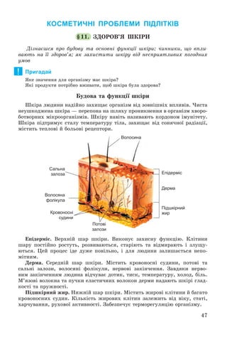 47
КОСМЕТИЧНІ ПРОБЛЕМИ ПІДЛІТКІВ
§11. ÇÄÎÐÎÂ’ß ØÊІÐÈ
Äіçíàєøñÿ ïðî áóäîâó òà îñíîâíі ôóíêöії øêіðè; ÷èííèêè, ùî âïëè-
âàþòü íà її çäîðîâ’ÿ; ÿê çàõèñòèòè øêіðó âіä íåñïðèÿòëèâèõ ïîãîäíèõ
óìîâ
Пригадай
ßêå çíà÷åííÿ äëÿ îðãàíіçìó ìàє øêіðà?
ßêі ïðîäóêòè ïîòðіáíî âæèâàòè, ùîá øêіðà áóëà çäîðîâà?
Áóäîâà òà ôóíêöії øêіðè
Øêіðà ëþäèíè íàäіéíî çàõèùàє îðãàíіçì âіä çîâíіøíіõ âïëèâіâ. ×èñòà
íåóøêîäæåíà øêіðà — ïåðåïîíà íà øëÿõó ïðîíèêíåííÿ â îðãàíіçì õâîðî-
áîòâîðíèõ ìіêðîîðãàíіçìіâ. Øêіðó íàâіòü íàçèâàþòü êîðäîíîì іìóíіòåòó.
Øêіðà ïіäòðèìóє ñòàëó òåìïåðàòóðó òіëà, çàõèùàє âіä ñîíÿ÷íîї ðàäіàöії,
ìіñòèòü òåïëîâі é áîëüîâі ðåöåïòîðè.
Волосина
Епідерміс
Дерма
Підшкірний
жир
Сальна
залоза
Волосяна
фолікула
Кровоносні
судини
Потові
залози
Åïіäåðìіñ. Âåðõíіé øàð øêіðè. Âèêîíóє çàõèñíó ôóíêöіþ. Êëіòèíè
øàðó ïîñòіéíî ðîñòóòü, ðîçâèâàþòüñÿ, ñòàðіþòü òà âіäìèðàþòü і çëóùó-
þòüñÿ. Öåé ïðîöåñ іäå äóæå ïîâіëüíî, і äëÿ ëþäèíè çàëèøàєòüñÿ íåïî-
ìіòíèì.
Äåðìà. Ñåðåäíіé øàð øêіðè. Ìіñòèòü êðîâîíîñíі ñóäèíè, ïîòîâі òà
ñàëüíі çàëîçè, âîëîñÿíі ôîëіêóëè, íåðâîâі çàêіí÷åííÿ. Çàâäÿêè íåðâî-
âèì çàêіí÷åííÿì ëþäèíà âіä÷óâàє äîòèê, òèñê, òåìïåðàòóðó, õîëîä, áіëü.
Ì’ÿçîâі âîëîêíà òà ïó÷êè åëàñòè÷íèõ âîëîêîí äåðìè íàäàþòü øêіðі ãëàä-
êîñòі òà ïðóæíîñòі.
Ïіäøêіðíèé æèð. Íèæíіé øàð øêіðè. Ìіñòèòü æèðîâі êëіòèíè é áàãàòî
êðîâîíîñíèõ ñóäèí. Êіëüêіñòü æèðîâèõ êëіòèí çàëåæèòü âіä âіêó, ñòàòі,
õàð÷óâàííÿ, ðóõîâîї àêòèâíîñòі. Çàáåçïå÷óє òåðìîðåãóëÿöіþ îðãàíіçìó.
!
 