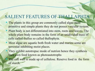 SALIENT FEATURES OF THALLAPHTA
 The plants in this group are commonly called algae.most
primitive and simple plants they do not posses vascular system.
 Plant body is not differentiated into stem, roots and leaves. The
whole plant body remains in the form of an unidivided mass of
cells called thallus so called thallophyta.
 Most algae are aquatic both fresh water and marine.some are
terrestial inhibiting moist places.
 They exhibit autotropuc mode of nutrion hence they synthesis
their own food known as photoautotrophs
 The cell wall is made up of cellulose. Reserve food in the form
of starch.
 