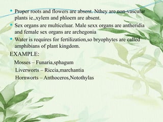  Proper roots and flowers are absent. Nthey are non-vascular
plants ie.,xylem and phloem are absent.
 Sex organs are multiceluar. Male sexx organs are antheridia
and female sex organs are archegonia
 Water is requires for fertilization,so bryophytes are called
amphibians of plant kingdom.
EXAMPLE:
Mosses – Funaria,sphagum
Liverworts – Riccia,marchantia
Hornworts – Anthoceros,Notothylas
 