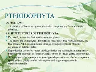 PTERIDOPHYTA
DEFINITION:
A division of flowerless green plants that comprises the ferns and their
relatives.
SALIENT FEATURES OF PTERIDOPHYTA:
 Pteridophytes are the first territial,vascular plants.
 The plants are sporophytes (diploid) and made up of true roots,true stem, and
true leaves. All the plant possess vascular tissues (xylem and phloem)
organized in definite steles.
 Reproduction occurs by spores produced inside the sporangia.sporangia may
be produced in groups to form sori.sori are born on leaves called sporophyllus.
 Sporangia may be homosporous (one type of spores) or may be heterosporous
(produce two types) smaller microspores and larger megaspores in
sepertaesporangia.
 