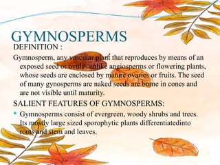 GYMNOSPERMS
DEFINITION :
Gymnosperm, any vascular plant that reproduces by means of an
exposed seed or ovule- unlike angiosperms or flowering plants,
whose seeds are enclosed by mature ovaries or fruits. The seed
of many gynosperms are naked seeds are borne in cones and
are not visible until maturity.
SALIENT FEATURES OF GYMNOSPERMS:
 Gymnosperms consist of evergreen, woody shrubs and trees.
Its mostly large sized sporophytic plants differentiatedinto
roots and stem and leaves.
 