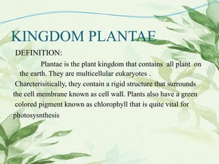 KINGDOM PLANTAE
DEFINITION:
Plantae is the plant kingdom that contains all plant on
the earth. They are multicellular eukaryotes .
Charcterisitically, they contain a rigid structure that surrounds
the cell membrane known as cell wall. Plants also have a green
colored pigment known as chlorophyll that is quite vital for
photosysnthesis
 