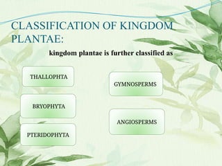 CLASSIFICATION OF KINGDOM
PLANTAE:
kingdom plantae is further classified as
THALLOPHTA
GYMNOSPERMS
ANGIOSPERMS
BRYOPHYTA
PTERIDOPHYTA
 