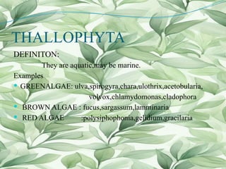 THALLOPHYTA
DEFINITON:
They are aquatic,may be marine.
Examples
 GREENALGAE: ulva,spirogyra,chara,ulothrix,acetobularia,
volvox,chlamydomonas,cladophora
 BROWN ALGAE : fucus,sargassum,lamminaria
 RED ALGAE :polysiphophonia,gelidium,gracilaria
 