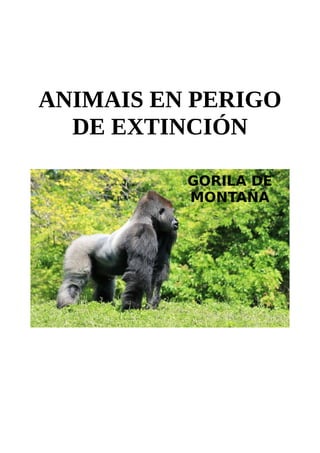 ANIMAIS EN PERIGO
DE EXTINCIÓN
GORILA DE
MONTAÑA
 