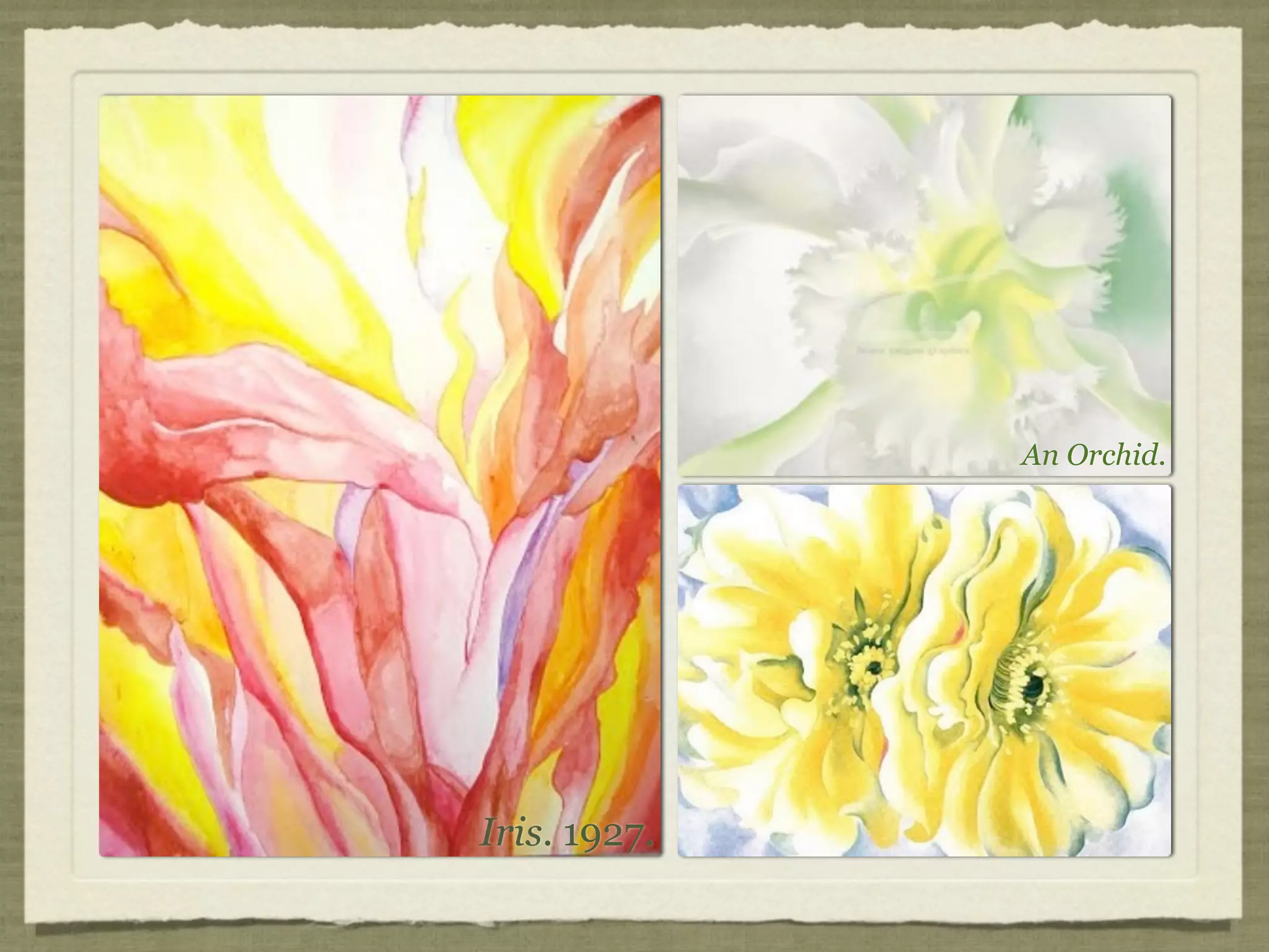 An Orchid.




Iris. 1927.
 