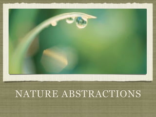 NATURE ABSTRACTIONS
 