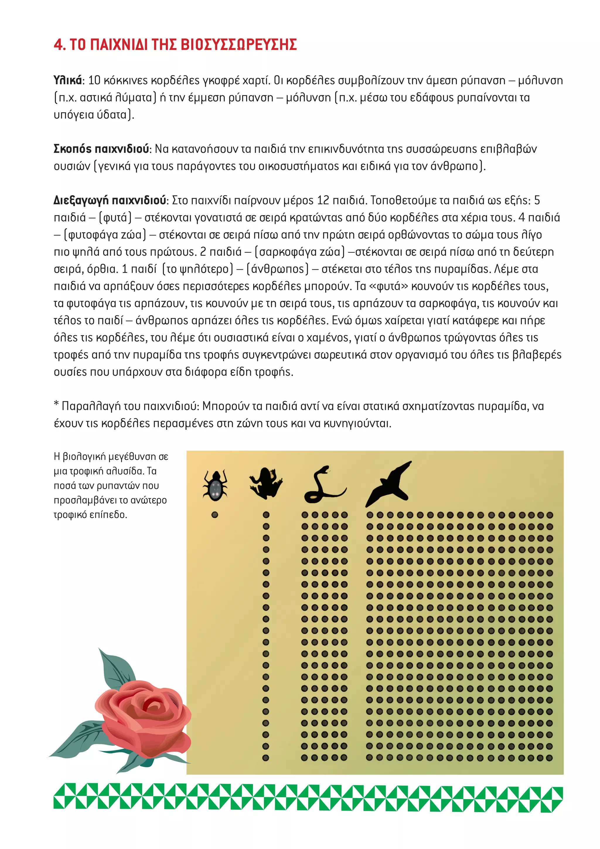 4. ΤΟ ΠΑΙΧΝΙΔΙ ΤΗΣ ΒΙΟΣΥΣΣΩΡΕΥΣΗΣ
Υλικά: 10 κόκκινες κορδέλες γκοφρέ χαρτί. Οι κορδέλες συμβολίζουν την άμεση ρύπανση – μόλυνση
(π.χ. αστικά λύματα) ή την έμμεση ρύπανση – μόλυνση (π.χ. μέσω του εδάφους ρυπαίνονται τα
υπόγεια ύδατα).
Σκοπός παιχνιδιού: Να κατανοήσουν τα παιδιά την επικινδυνότητα της συσσώρευσης επιβλαβών
ουσιών (γενικά για τους παράγοντες του οικοσυστήματος και ειδικά για τον άνθρωπο).
Διεξαγωγή παιχνιδιού: Στο παιχνίδι παίρνουν μέρος 12 παιδιά. Τοποθετούμε τα παιδιά ως εξής: 5
παιδιά – (φυτά) – στέκονται γονατιστά σε σειρά κρατώντας από δύο κορδέλες στα χέρια τους. 4 παιδιά
– (φυτοφάγα ζώα) – στέκονται σε σειρά πίσω από την πρώτη σειρά ορθώνοντας το σώμα τους λίγο
πιο ψηλά από τους πρώτους. 2 παιδιά – (σαρκοφάγα ζώα) –στέκονται σε σειρά πίσω από τη δεύτερη
σειρά, όρθια. 1 παιδί (το ψηλότερο) – (άνθρωπος) – στέκεται στο τέλος της πυραμίδας. Λέμε στα
παιδιά να αρπάξουν όσες περισσότερες κορδέλες μπορούν. Τα «φυτά» κουνούν τις κορδέλες τους,
τα φυτοφάγα τις αρπάζουν, τις κουνούν με τη σειρά τους, τις αρπάζουν τα σαρκοφάγα, τις κουνούν και
τέλος το παιδί – άνθρωπος αρπάζει όλες τις κορδέλες. Ενώ όμως χαίρεται γιατί κατάφερε και πήρε
όλες τις κορδέλες, του λέμε ότι ουσιαστικά είναι ο χαμένος, γιατί ο άνθρωπος τρώγοντας όλες τις
τροφές από την πυραμίδα της τροφής συγκεντρώνει σωρευτικά στον οργανισμό του όλες τις βλαβερές
ουσίες που υπάρχουν στα διάφορα είδη τροφής.
* Παραλλαγή του παιχνιδιού: Μπορούν τα παιδιά αντί να είναι στατικά σχηματίζοντας πυραμίδα, να
έχουν τις κορδέλες περασμένες στη ζώνη τους και να κυνηγιούνται.
Η βιολογική μεγέθυνση σε
μια τροφική αλυσίδα. Τα
ποσά των ρυπαντών που
προσλαμβάνει το ανώτερο
τροφικό επίπεδο.
 