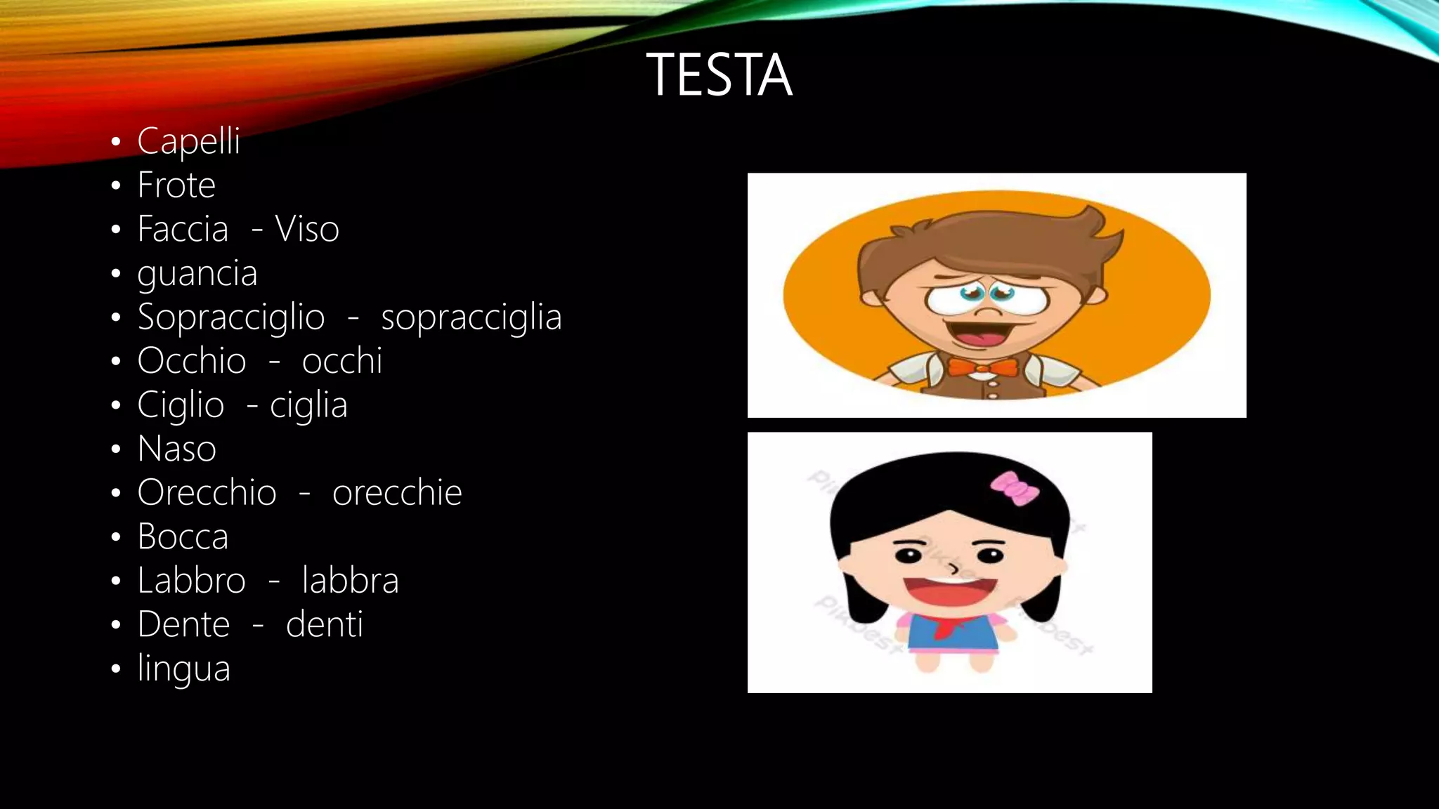 Partes del cuerpo humano en italiano por Dayana López. | PPTX