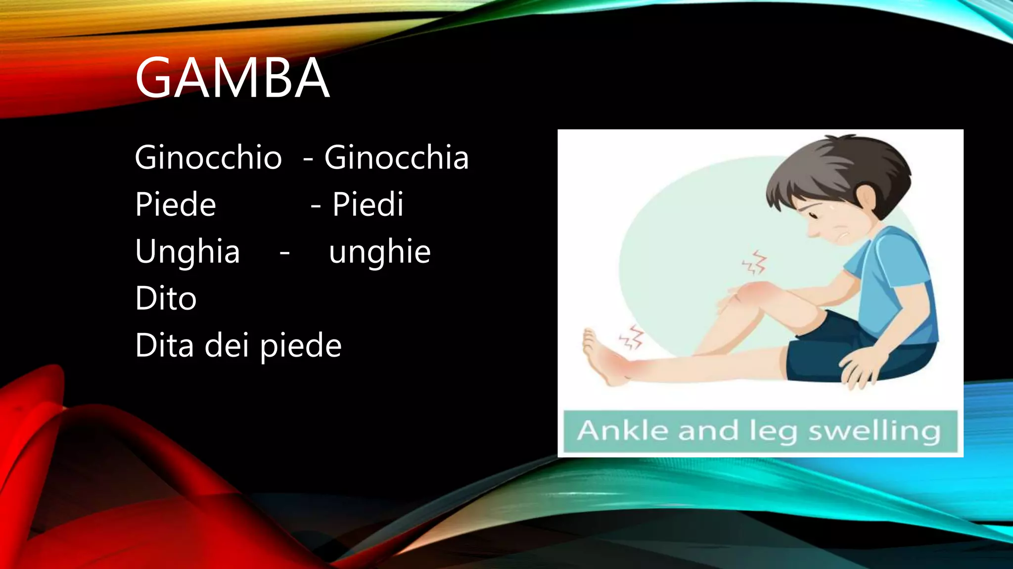 Partes del cuerpo humano en italiano por Dayana López. | PPTX