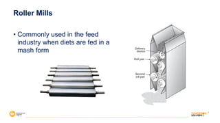• Commonly used in the feed
industry when diets are fed in a
mash form
Roller Mills
 