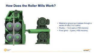 • Material is ground as it passes through a
series of rolls (1 to 3 pairs)
• Poultry – 1 to 2 pairs (>700 microns)
• Finer grind – 3 pairs (~450 microns)
31
How Does the Roller Mills Work?
 