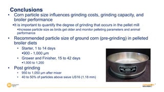 • Corn particle size influences grinding costs, grinding capacity, and
broiler performance
§It is important to quantify the degree of grinding that occurs in the pellet mill
§Increase particle size as birds get older and monitor pelleting parameters and animal
performance
• Recommended particle size of ground corn (pre-grinding) in pelleted
broiler diets
• Starter, 1 to 14 days
§900 - 1,000 µm
• Grower and Finisher, 15 to 42 days
§1,000 to 1,200
• Post grinding
• 950 to 1,050 µm after mixer
• 40 to 50% of particles above sieve US16 (1.18 mm)
Conclusions
 