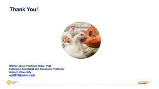 Thank You!
Wilmer Javier Pacheco, MSc., PhD.
Extension Specialist and Associate Professor
Auburn University
wjp0010@auburn.edu
 
