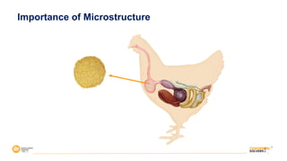 7
Importance of Microstructure
 