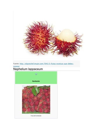 Fuente: http://elgranchef.imujer.com/7043/5-frutas-exoticas-que-debes-
conocer
Nephelium lappaceum
Rambután
Fruto del rambután
 
