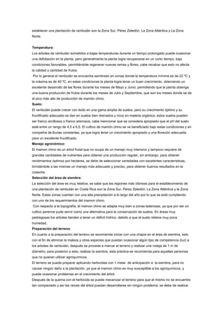establecer una plantación de rambután son la Zona Sur, Pérez Zeledón, La Zona Atlántica y La Zona
Norte.
Temperatura:
Los árboles de rambután sometidos a bajas temperaturas durante un tiempo prolongado puede ocasionar
una defoliación en la planta, pero generalmente la planta logra recuperarse en un corto tiempo, bajo
condiciones favorables, permitiéndole regenerar nuevas ramas y flores, cabe recalcar que esto no afecta
la calidad y cantidad de frutos.
Por lo general el rambután se encuentra sembrado en zonas donde la temperatura mínima es de 22 ºC y
la máxima es de 40 ºC, en estas condiciones la planta logra tener un buen crecimiento, obteniendo un
excelente desarrollo de las flores durante los meses de Mayo y Junio, permitiendo que la planta obtenga
una buena producción de frutos durante los meses de Julio y Septiembre, que son los meses donde se da
el pico más alto de producción de mamón chino.
Suelo:
El rambután puede crecer con éxito en una gama amplia de suelos, pero su crecimiento óptimo y su
fructificado adecuado se dan en suelos bien drenados y ricos en materia orgánica, estos suelos pueden
ser franco arcillosos o franco arenosos, cabe mencionar que se considera apropiado que el pH del suelo
esté entre un rango de 4,5 a 6,5. El cultivo de mamón chino se ve beneficiado bajo estas condiciones y en
compañía de lluvias constantes, ya que logra tener un crecimiento apropiado y una floración adecuada
para un excelente fructificado.
Manejo agronómico:
El mamon chino es un árbol frutal que no ocupa de un manejo muy intensivo y tampoco requiere de
grandes cantidades de nutrientes para obtener una producción regular, sin embargo, para obtener
rendimientos óptimos por hectárea, se debe de seleccionar variedades con excelentes características,
brindándole a las mismas un manejo más adecuado y preciso, para obtener buenos resultados en la
cosecha.
Selección del área de siembra:
La selección del área es muy relativa, se sabe que las regiones más idóneas para el establecimiento de
una plantación de rambután en Costa Rica son la Zona Sur, Pérez Zeledón, La Zona Atlántica y la Zona
Norte. Estas zonas cuentan con una alta precipitación a lo largo del año por lo que se está cumpliendo
con uno de los requerimientos del mamon chino.
Con respecto a la topografía, el mamon chino se adapta muy bien a zonas laderosas, ya que por ser un
cultivo perenne pude servir como una alternativa para la conservación de suelos. En áreas muy
pedregosas los arboles tienden a tener un déficit hídrico, debido a que el suelo retiene muy poca
humedad.
Preparación del terreno
En cuanto a la preparación del terreno se recomienda iniciar con una chapia en el área de siembra, esto
con el fin de eliminar la maleza y otras especies que puedan ocasionar algún tipo de competencia (luz) a
los arboles de rambután, después se procede a marcar el terreno y realizar una rodaja de 1 m de
diámetro, para posterior a esto, realizar la siembra, esta práctica se recomienda para aquellas personas
que no quieran utilizar agroquímicos.
El terreno se puede preparar aplicando herbicidas con 1 mese de anticipación a la siembra, para no
causar ningún daño a la plantación, ya que el mamon chino es muy susceptible a los agroquímicos, y
puede ocasionar problemas en el crecimiento del árbol.
Después de la quema con el herbicida se puede mecanizar el terreno para que el mismo no se encuentre
tan compactado y así las raíces del árbol puedan desarrollarse sin ningún problema, se debe de realizar
 