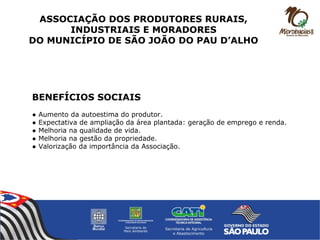 BENEFÍCIOS SOCIAIS
● Aumento da autoestima do produtor.
● Expectativa de ampliação da área plantada: geração de emprego e renda.
● Melhoria na qualidade de vida.
● Melhoria na gestão da propriedade.
● Valorização da importância da Associação.
ASSOCIAÇÃO DOS PRODUTORES RURAIS,
INDUSTRIAIS E MORADORES
DO MUNICÍPIO DE SÃO JOÃO DO PAU D’ALHO
 