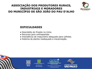 DIFICULDADES
● Descrédito do Projeto no início.
● Recursos para contrapartida.
● Inexistência de maquinário adequado para colheita.
● Sistema de plantio inadequado à mecanização.
ASSOCIAÇÃO DOS PRODUTORES RURAIS,
INDUSTRIAIS E MORADORES
DO MUNICÍPIO DE SÃO JOÃO DO PAU D’ALHO
 