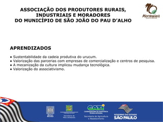 APRENDIZADOS
● Sustentabilidade da cadeia produtiva do urucum.
● Valorização das parcerias com empresas de comercialização e centros de pesquisa.
● A mecanização da cultura implicou mudança tecnológica.
● Valorização do associativismo.
ASSOCIAÇÃO DOS PRODUTORES RURAIS,
INDUSTRIAIS E MORADORES
DO MUNICÍPIO DE SÃO JOÃO DO PAU D’ALHO
 